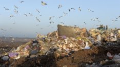 Биологичният отпадък може да се превърне в енергиен източник