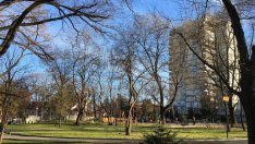 Ще се превърне ли София в зелен град с повече пешеходни зони и велоалеи?