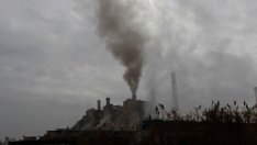 ЕС трябва да спре субсидиите за въглищните централи, ако иска да завърши енергийния преход