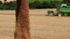 Зърнопроизводителите поискаха държавата да изпълни ангажиментите си към сектора