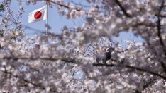 Японизира ли се индустриалната политика на САЩ?