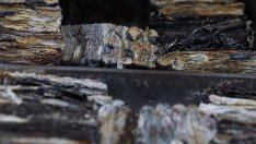 Tesla отчита най-големи разходи за батерии сред автомобилните производители