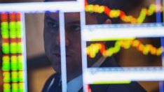 Основните моменти при оценката и подбора на технологични акции