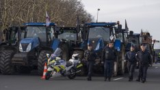 Ст. Манов: Френските фермери искат фундаментална промяна в европейската аграрна политика