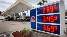 Електромобилното бъдеще ще се нуждае от нова данъчна система