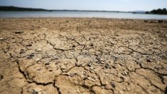 Арктика без лед: шестте най-важни констатации на комисията към ООН