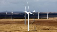 Соларната и вятърната енергия са удвоили глобалния си дял за последните 5 години