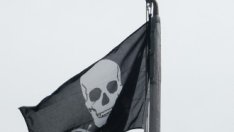 Google разшири филтрирането на торент сайтове 