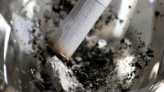 Германия – меката на цигареното лоби