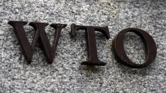 Ролята на Световната търговска организация е по-важна от всякога