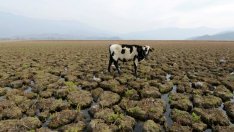 NNWI: Устойчивото развитие е решаващ фактор в борбата с глобалното затопляне