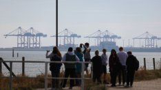 Импортните цени в Германия растат най-силно от 1974 г. насам