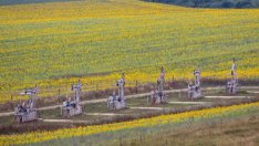 Шистовата индустрия се надява Джо Байдън да изгуби президентските избори