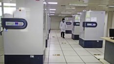 2016 ще е спокойна година за биотехнологичните IPO-та в САЩ