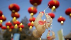 Годината на петела крие рискове за китайската икономика