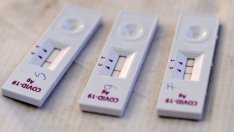 Почти всеки трети тест за коронавирус в България вече е положителен