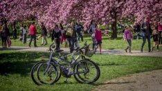 Около една трета от българите в чужбина искат да се върнат у нас, според експерт