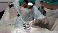 Tестват прилепи за коронавирус
