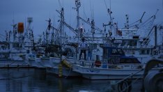 МЗХ предлага черноморските държави да направят съвет за рибните запаси