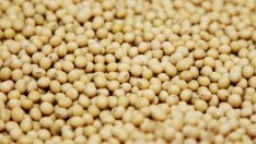 Южна Америка подкрепи финансовите резултати на Monsanto