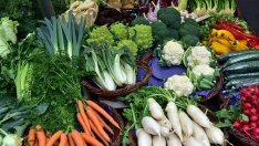 Производители, преработватели и търговци на биопродукти влизат в регистър на агроминистерството