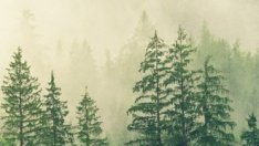 Екоминистерството иска ОВОС за мина в сръбското село Караманица