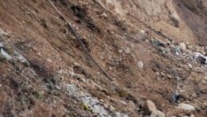 Европейският съюз планира 4,02 млрд. евро за иновации в аграрния сектор до 2020 г.