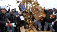 Фермери готвят протести пред парламента заради ниските цени на тютюна