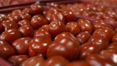 Британска верига ограничава продажбите на плодове и зеленчуци заради повсеместен недостиг