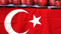 Moody's понижи още кредитния рейтинг на Турция 