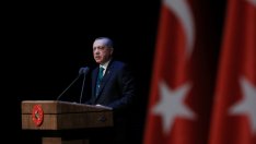 Ердоган свика предсрочни президентски и парламентарни избори през лятото