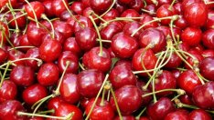 Овощари от Русенско настояват за спешни мерки срещу градушките