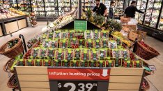 ОИСР: Забавящата се инфлация в САЩ открива пътя за понижаване на лихвите в идните месеци