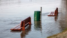 Цените на застраховките няма да се променят с въвеждането на еврото