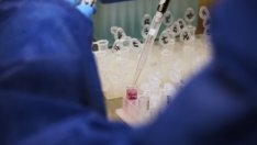 Пореден ден с рекорден брой нови случаи на коронавирус у нас – 516 новозаразени