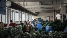 Световното предлагане на труд ли определя лихвите?