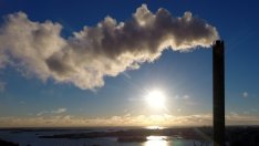 Трябва нов начин на управление на горите и водата, посочи еколог