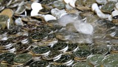 Кабинетът отново одобри ръст на минималната заплата до 460 лв.