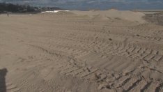 Започва съвместна проверка на институциите по сигнал за плаж Оазис