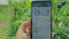 Българската компания за прецизно земеделие Ondo Solutions набра 1 млн. евро