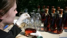 Уискито – течното злато?