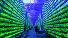 Копачите на биткойни поглеждат към ядрената енергия