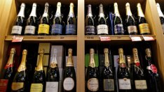 Износът на европейски селскостопански стоки към Русия расте с 16% през 2017 г.