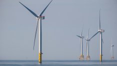 Дания дава старт на най-големия търг за вятърна енергия в страната