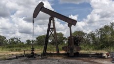 Натрупването на петролни запаси за момента държи пазарите сравнително спокойни