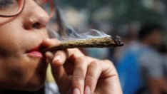 Легализирането на канабиса в САЩ наближава, но кои ще са големите печеливши?