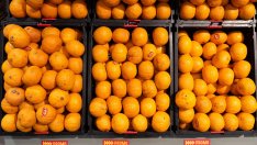 Цените на храните на едро се понижават с над 2% през седмицата