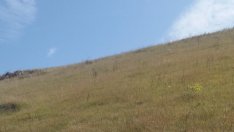 „Елана Агрокредит“ изпраща 2019 г. с 10% спад на кредитите за сделки за земи