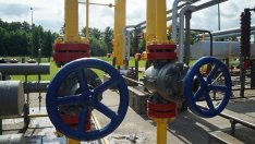 Г. Александрова: Газопроводът „Турски поток” има своите предимства