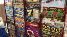 Д. Терзиев: Хазартът е за развлечение, а не за забогатяване